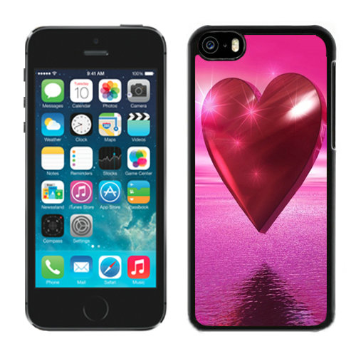 Valentine Love iPhone 5C Cases CSF